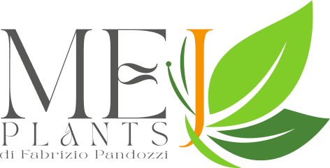 Logo Mej plants dark